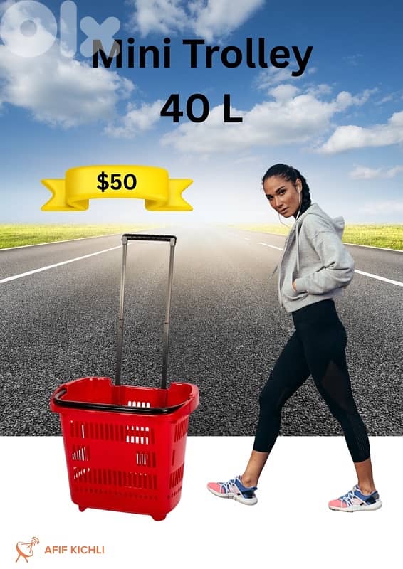 Trolleys & Baskets for Supermarket & Stores 2