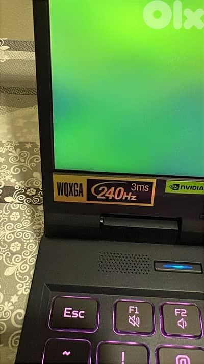 Predator Neo Helios 16