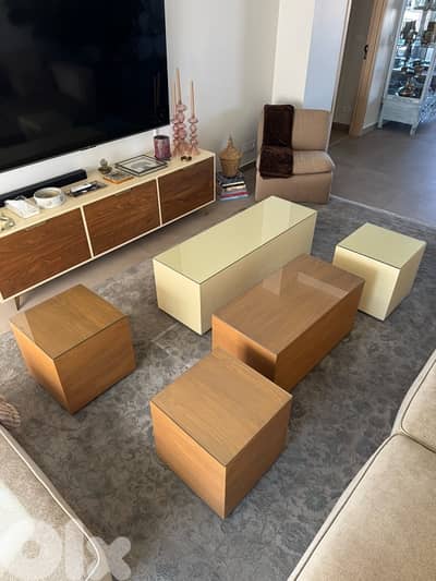 Modular Coffee Table Set (5 Pieces)