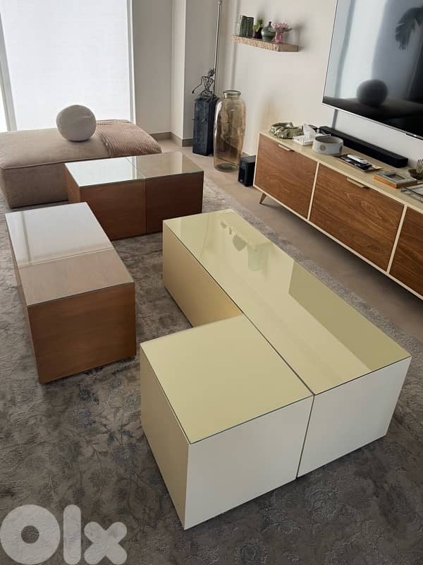 Modular Coffee Table Set (5 Pieces) 4
