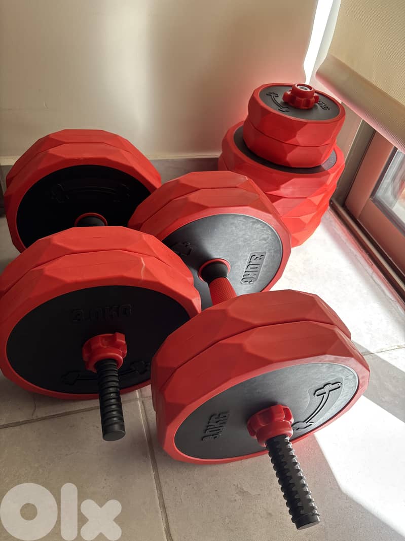 Dumbells for sale 0