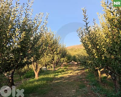 Prime 3,620 sqm Land with Apple Orchard – Kfardebian REF#NR129244