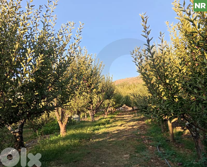 Prime 3,620 sqm Land with Apple Orchard – Kfardebian REF#NR129244 0