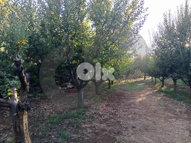 Prime 3,620 sqm Land with Apple Orchard – Kfardebian REF#NR129244 1