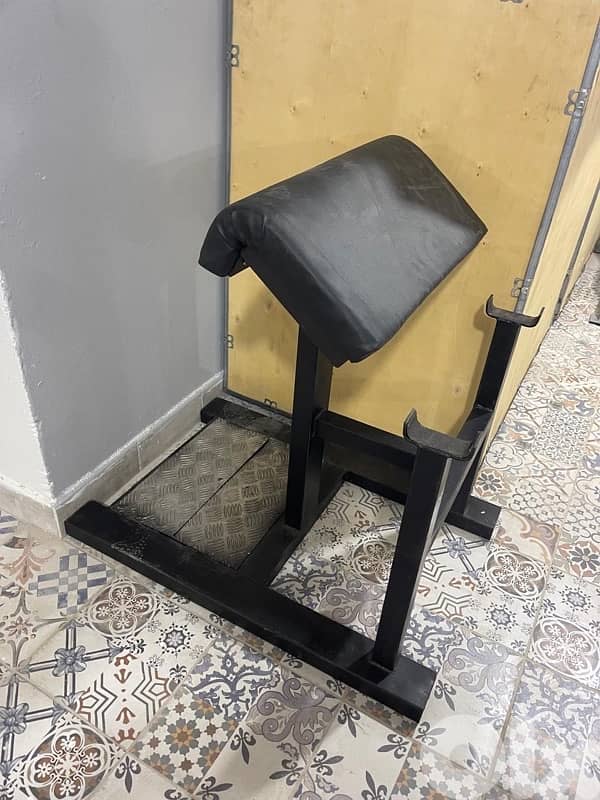 Stand biceps like new 2