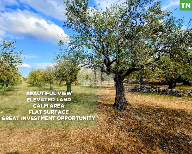 unobstructed open view, great deal, zgharta, bnache/بنشعي REF#TN129256 0