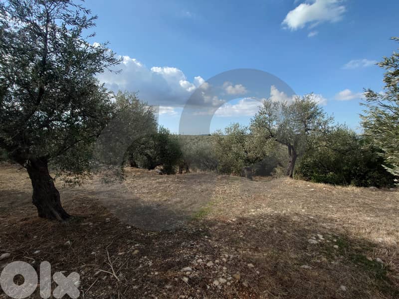 unobstructed open view, great deal, zgharta, bnache/بنشعي REF#TN129256 1