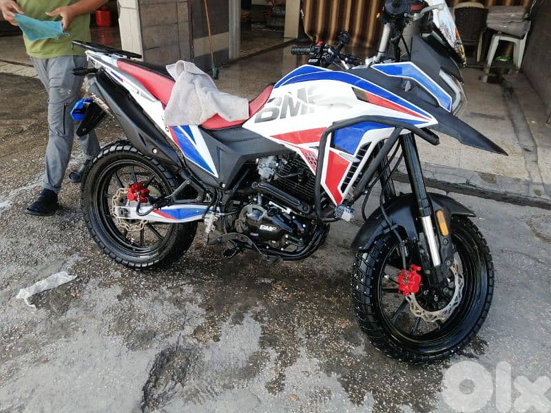 صور الجنوب 0