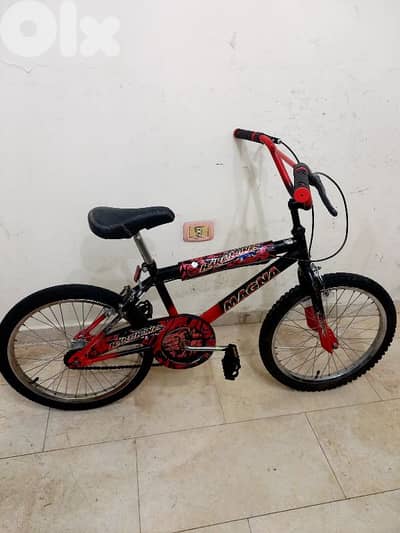 بسكليت اوروبي