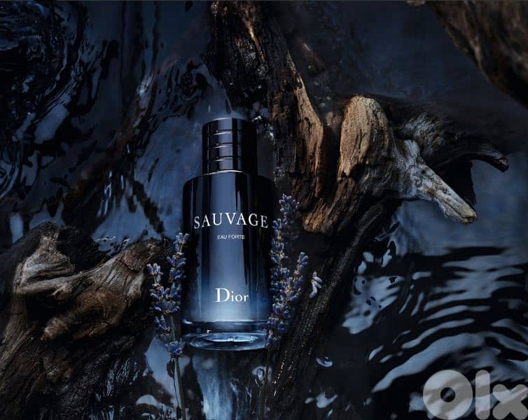 MEN AND WOMEN PERFUMES (all perfumes available) 4