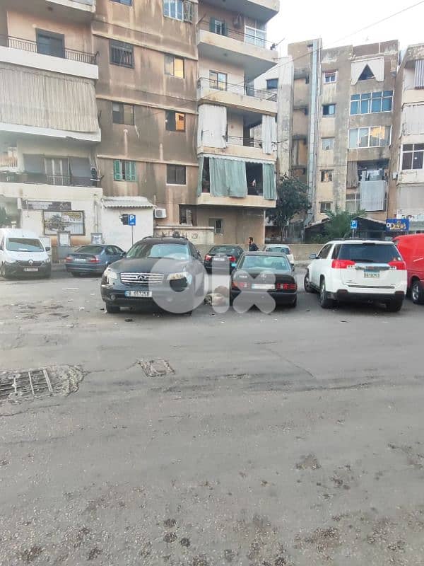 2 Dogs for adoption dekwaneh 1