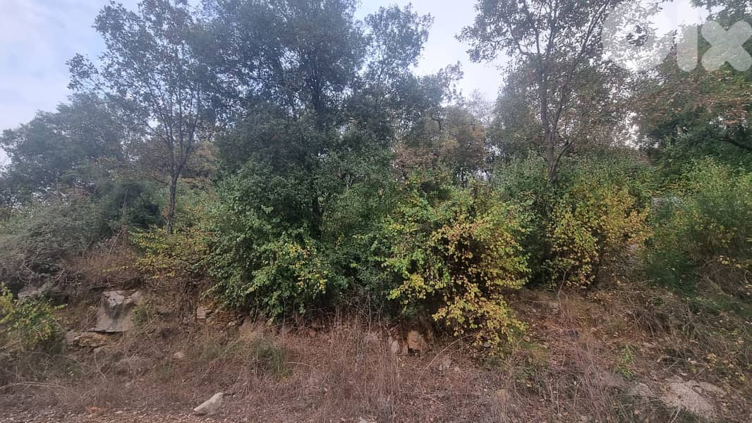 Land for Sale in Kneitra - أرض للبيع في قنيطرة 0