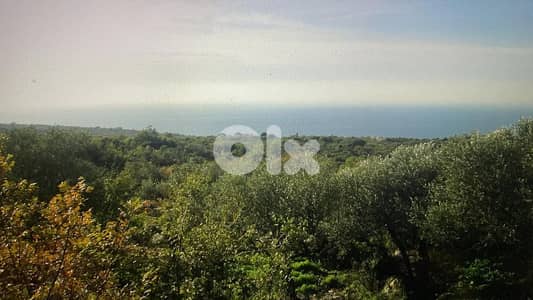 RWB321CA - Land for sale in Barbara Jbeil