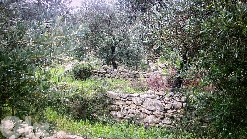 RWB321CA - Land for sale in Barbara Jbeil 1