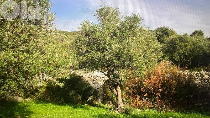 RWB321CA - Land for sale in Barbara Jbeil 2