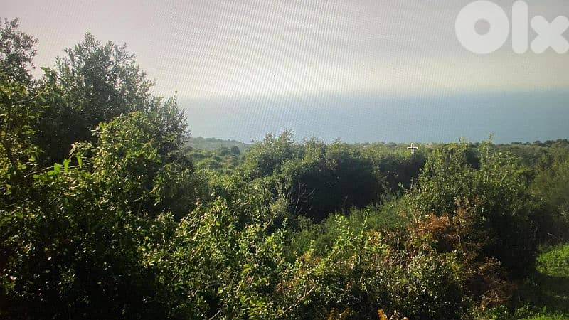 RWB321CA - Land for sale in Barbara Jbeil 4