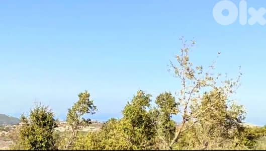 lands for sale in Sourat. ارض "لقطة"للببع في صورات