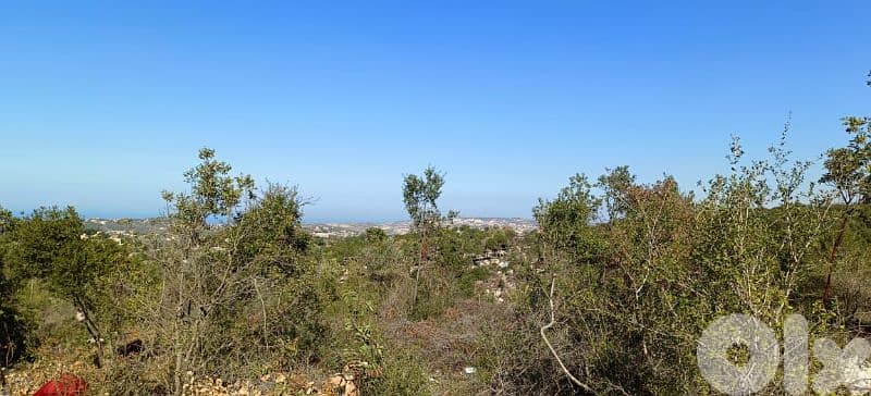 lands for sale in Sourat. ارض "لقطة"للببع في صورات 2