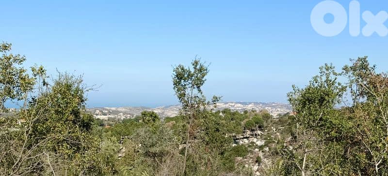 lands for sale in Sourat. ارض "لقطة"للببع في صورات 4