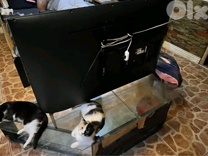 بيع او تبديل على اكبر 65 . 2