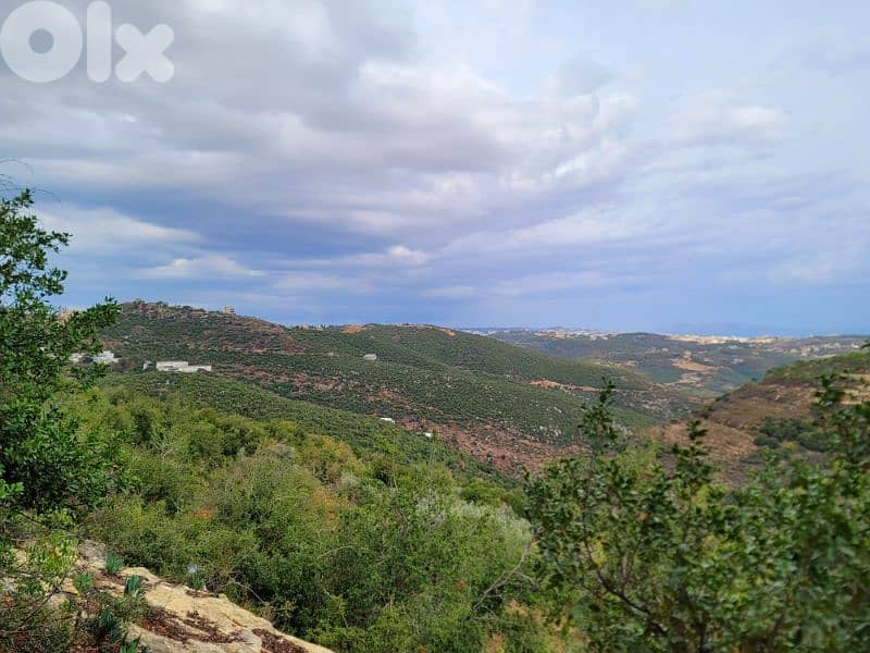 lands for sale in Bejdarfelارض للبيع في بجدرفل 1