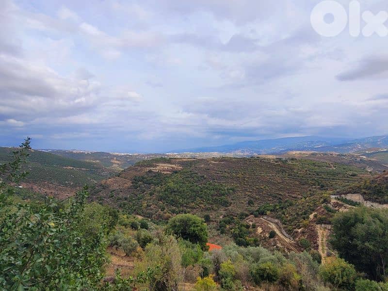 lands for sale in Bejdarfelارض للبيع في بجدرفل 2