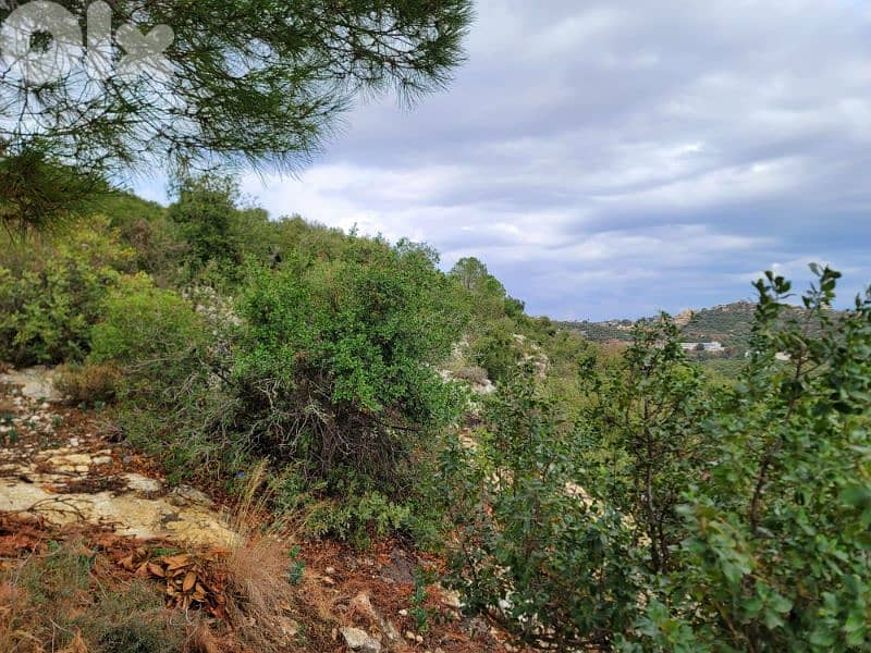 lands for sale in Bejdarfelارض للبيع في بجدرفل 3