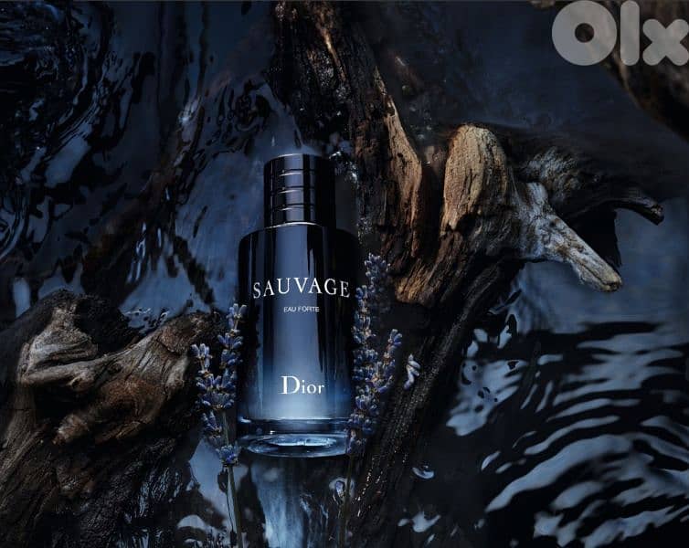 MEN AND WOMEN PERFUMES ALL (PERFUMES AVAILABLE) 3