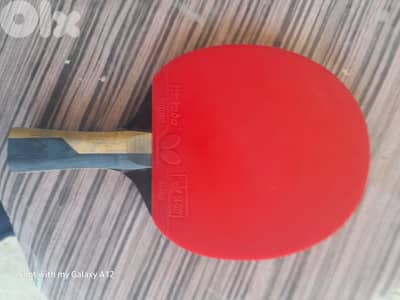 butterfly table tinnes racket