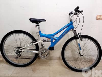 بسكليت اوروبي