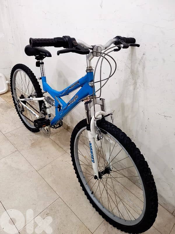 بسكليت اوروبي 4