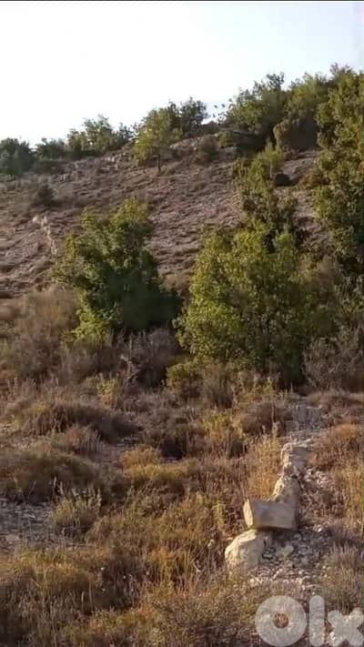 Land For Sale In Mechmech - أرض للبيع في مشمش