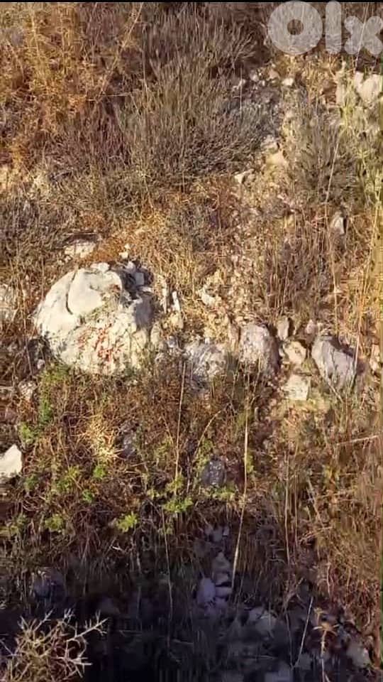 Land For Sale In Mechmech - أرض للبيع في مشمش 1