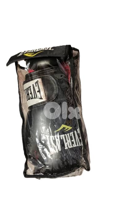 Everlast Boxing Gloves – Ta:8 Size