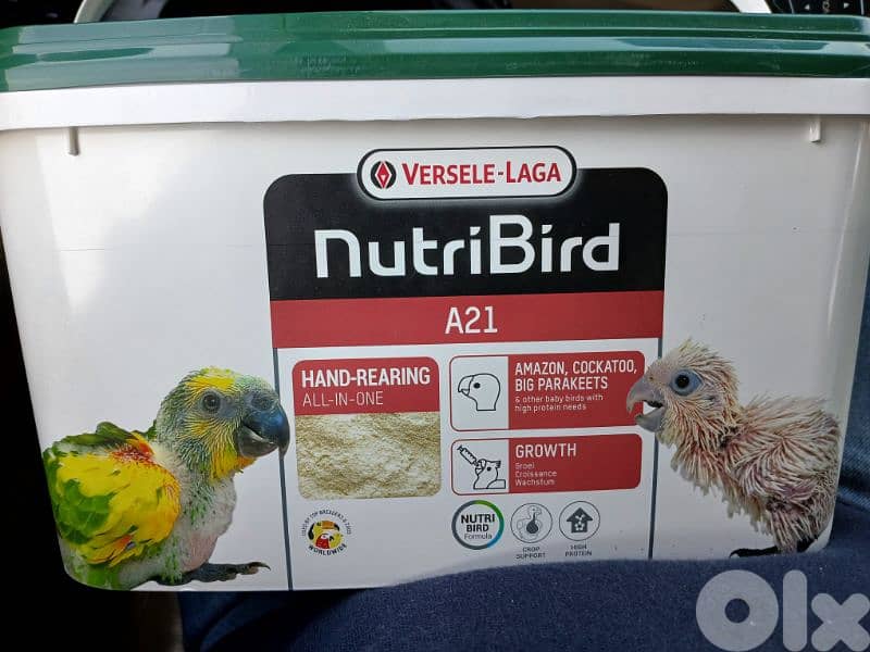 اكل تزئيم لكل الطيور A21 1