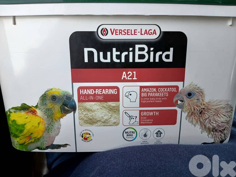 اكل تزئيم لكل الطيور A21 2