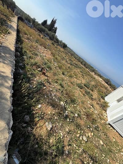 ارض طريق البلمند