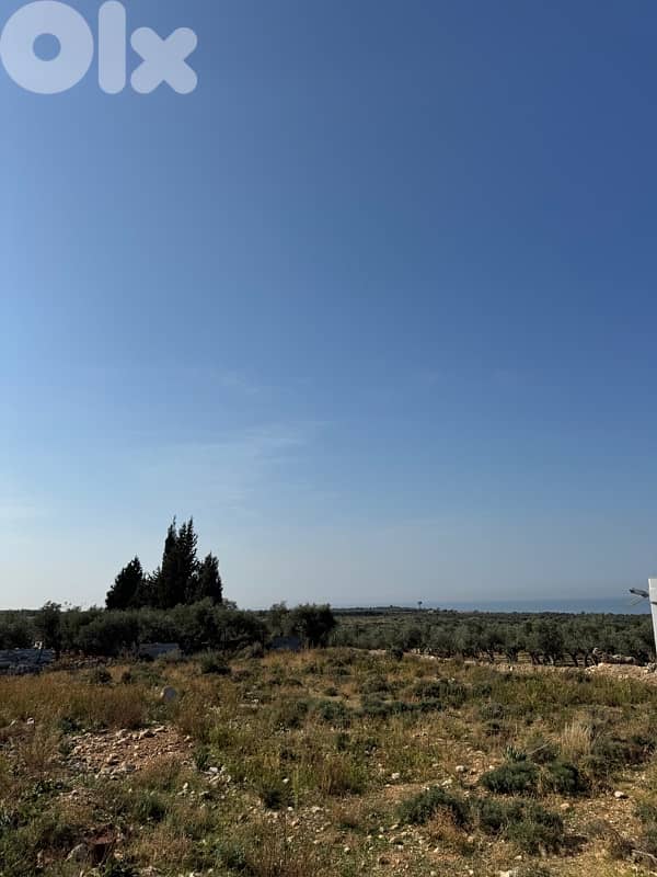 ارض طريق البلمند 4