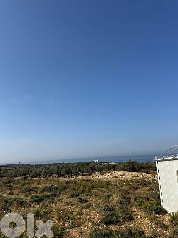 ارض طريق البلمند 6