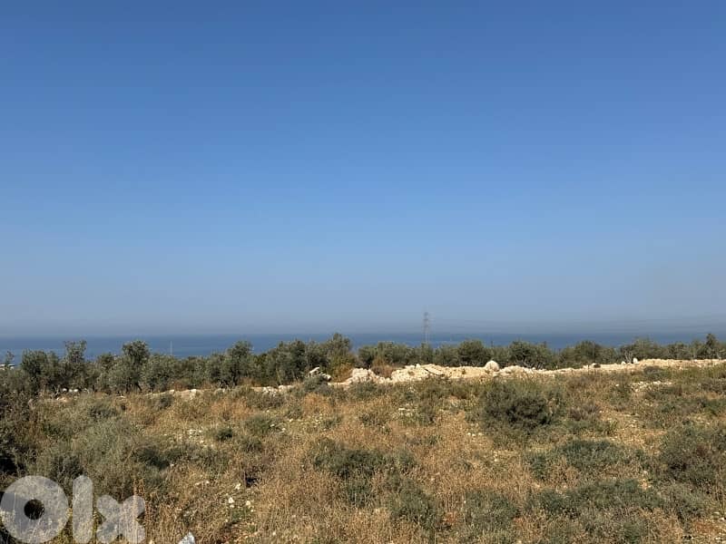 ارض طريق البلمند 7