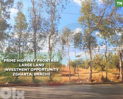 Prime Land for Sale in Bnachii -Main Road Frontage REF#TN129351