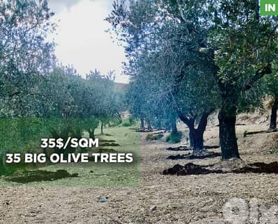 calm village, Koura - Darbishtar/الكورة - داربعشتار REF#IN129357