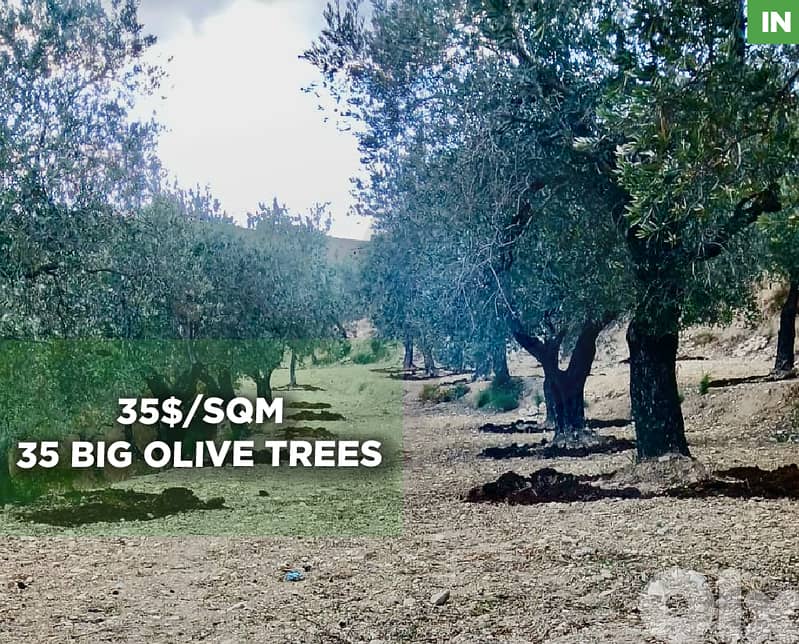 calm village, Koura - Darbishtar/الكورة - داربعشتار REF#IN129357 0