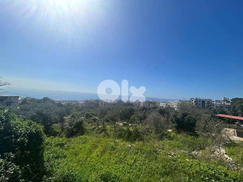 Land For Sale In Amchit With an Old House  - أرض للبيع في عمشيت 0