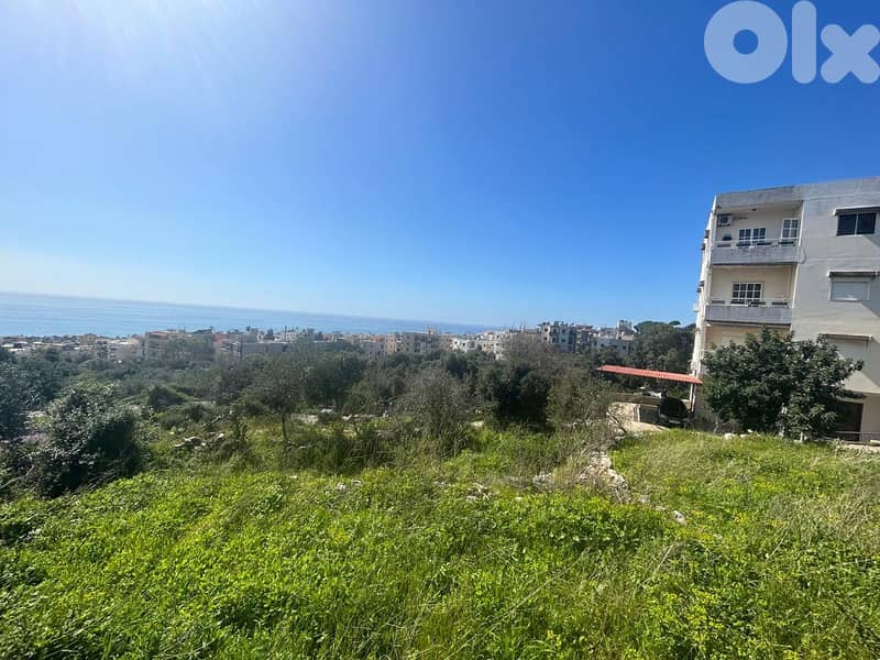 Land For Sale In Amchit With an Old House  - أرض للبيع في عمشيت 1