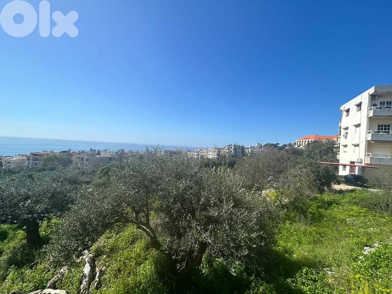 Land For Sale In Amchit With an Old House  - أرض للبيع في عمشيت 2