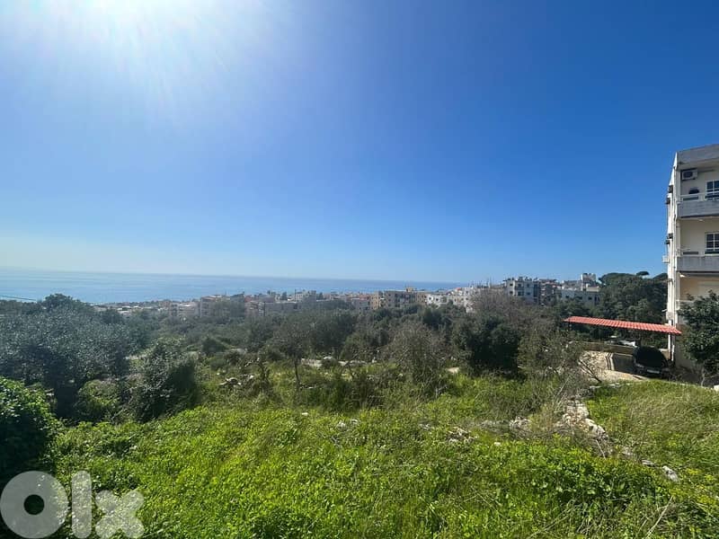 Land For Sale In Amchit With an Old House  - أرض للبيع في عمشيت 3