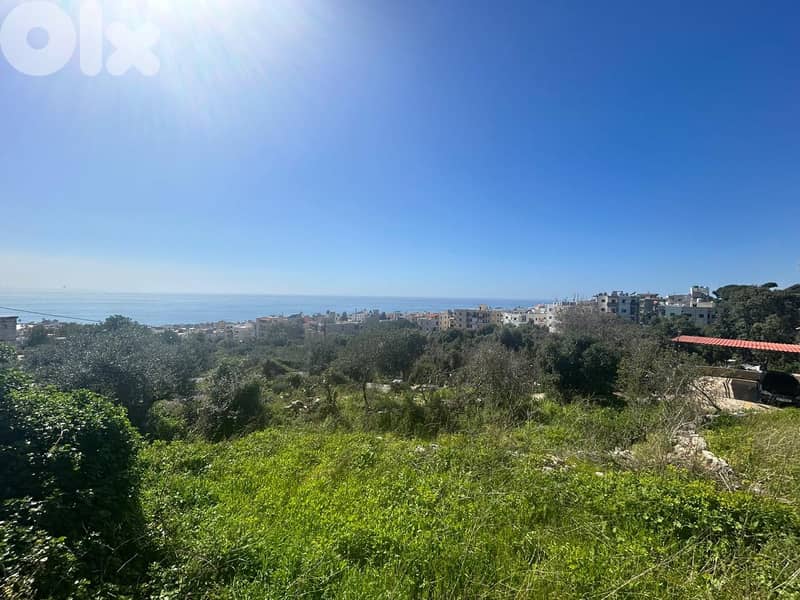 Land For Sale In Amchit With an Old House  - أرض للبيع في عمشيت 4