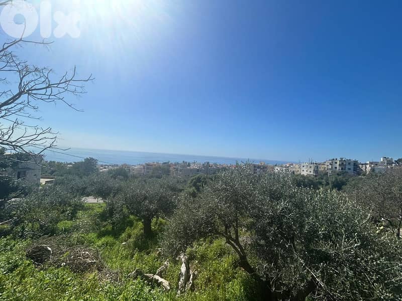 Land For Sale In Amchit With an Old House  - أرض للبيع في عمشيت 5