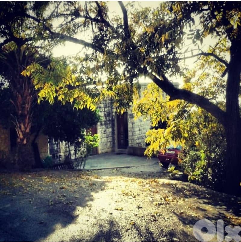 Land For Sale In Amchit With an Old House  - أرض للبيع في عمشيت 6